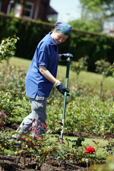 Neath and Port Talbot gardener